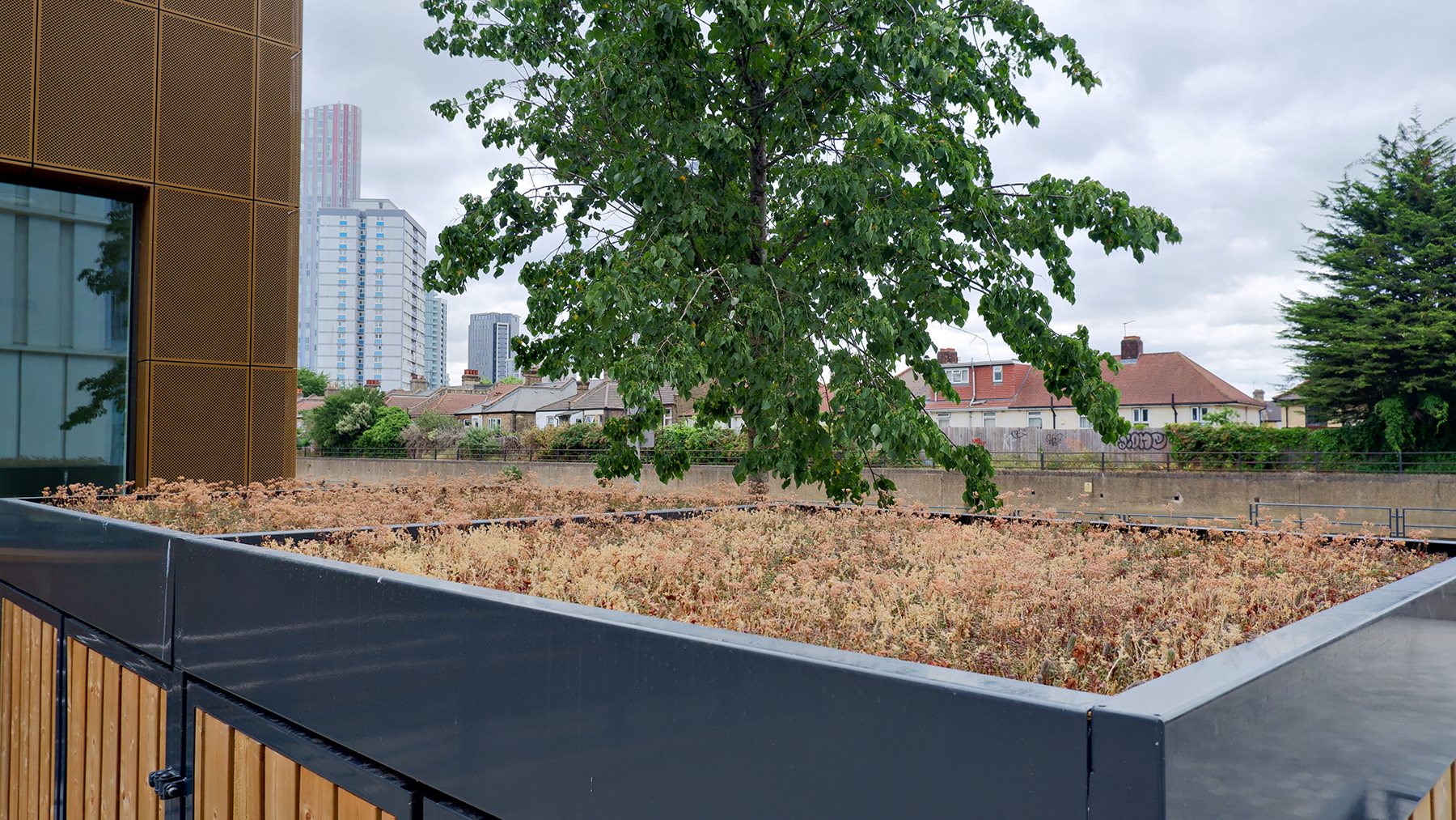 green roof bike shelter sugar house island