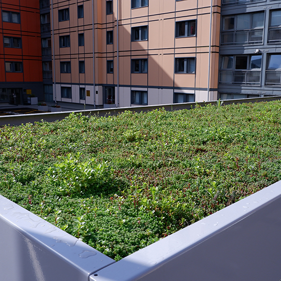 green roof bike shelter