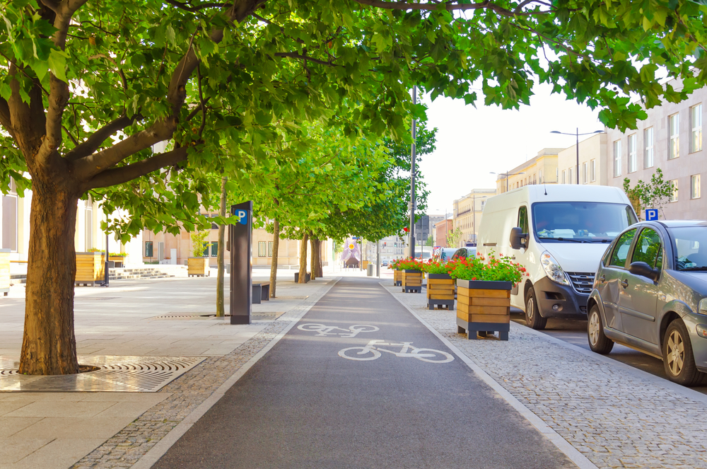 Healthy street with trees